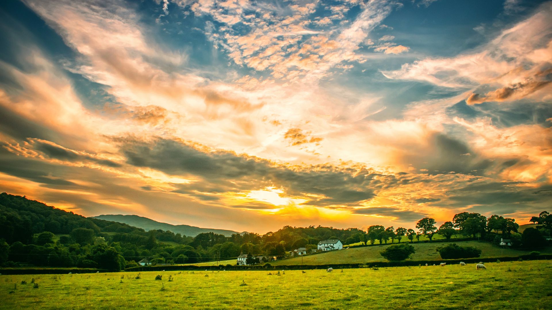 Agronegócio digital e soluções em sistemas agrícolas