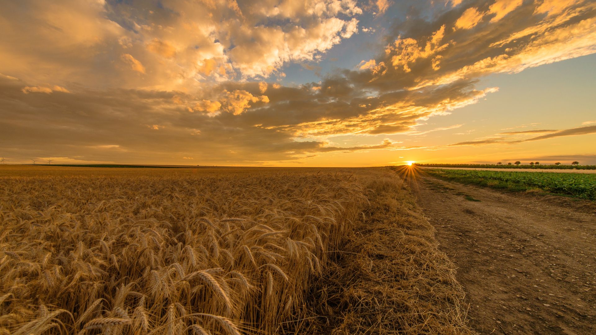 Desenvolvimento de software e marketing digital para agro