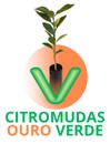Logo Citromudas ouro verde