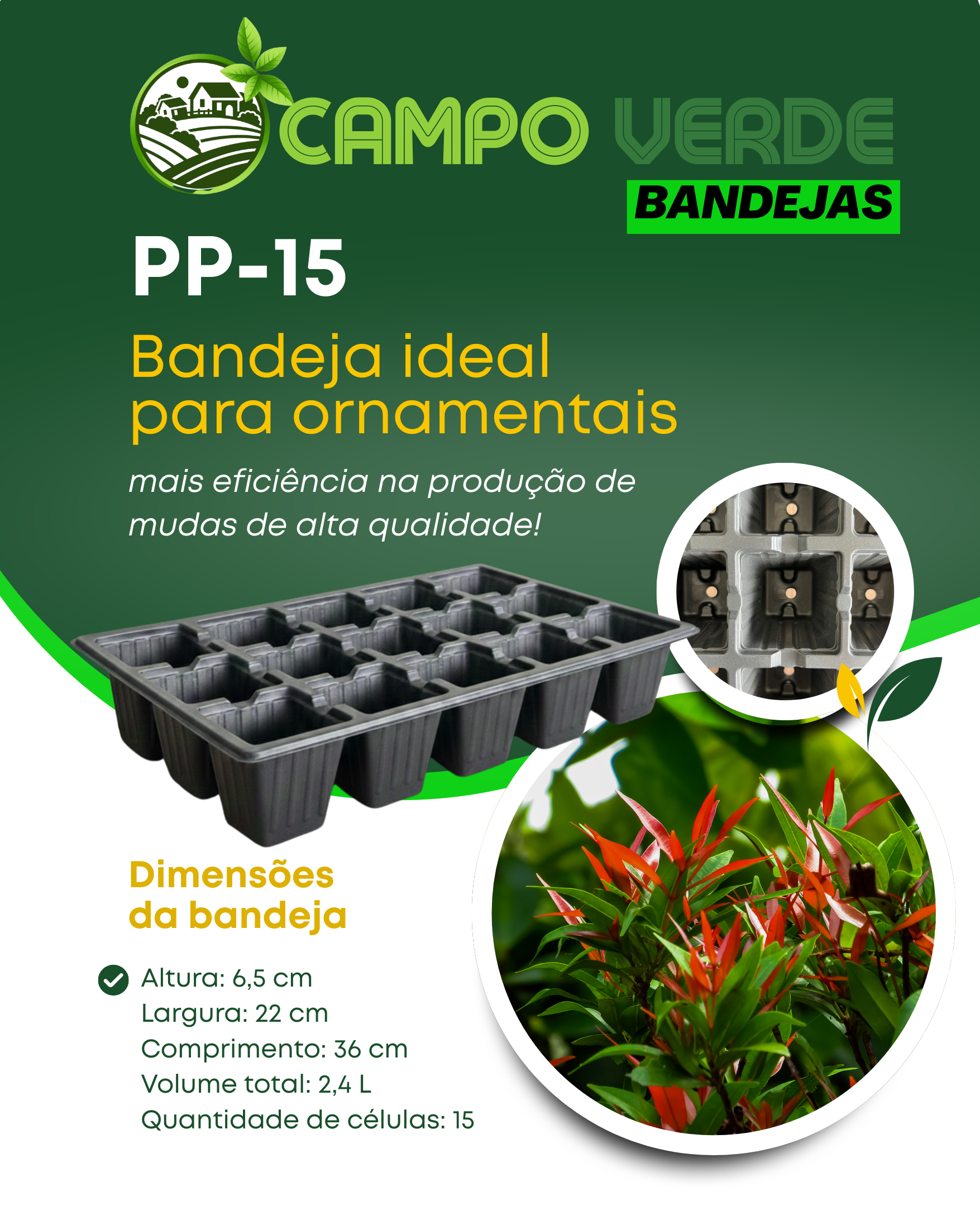 Artes para redes sociais